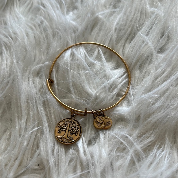 Alex and Ani bracelet - Picture 1 of 2